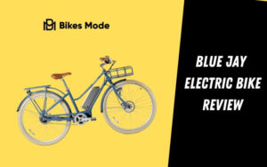Blue Jay Electric Bike Review
