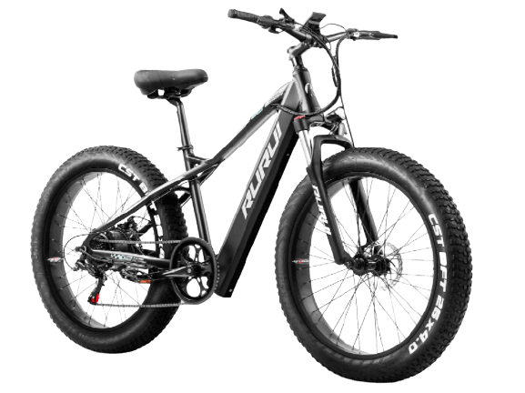 750W Fat Tire Electric Bike Up to 28 Mph Electric Bike for Adults